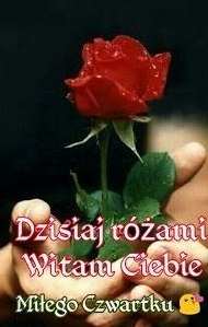 Różyczka na dłoni miłego czwartku